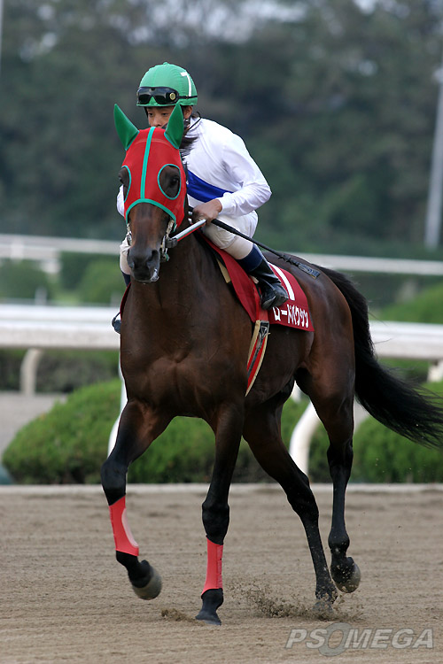 ���[�h�o�N�V��