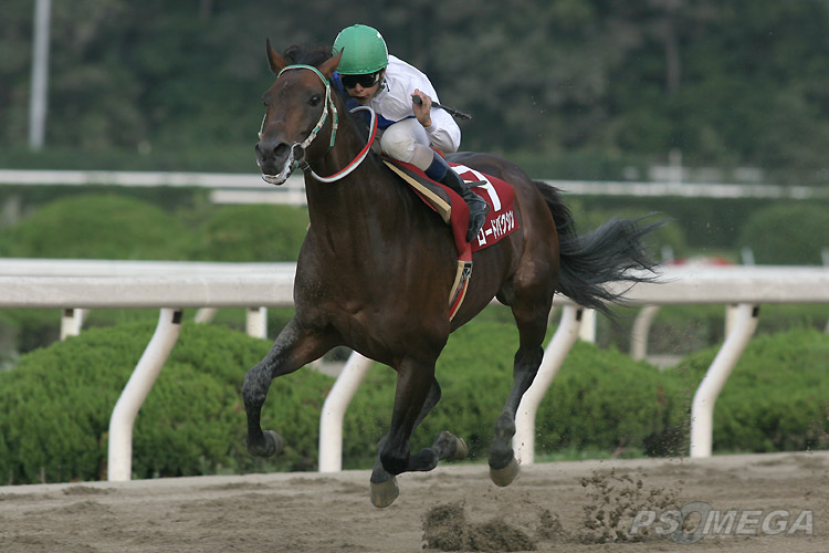 �Ƒ����[�h�o�N�V��