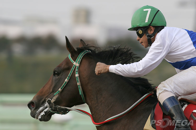 ���Ԃ���˂��o��