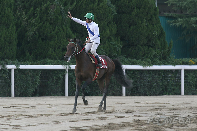 ����グ�ċA���Ă���