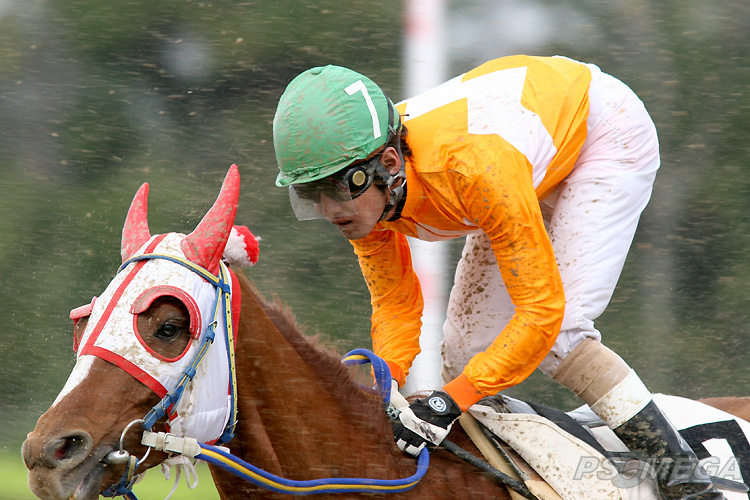 �X�^�[�g����A�D����юU��