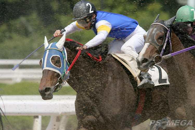 �n��ǂ������R��