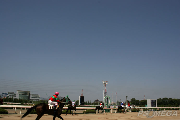 �_�ЂƂȂ����V