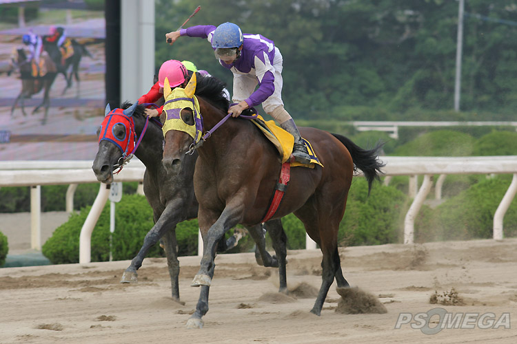 �r�b�N���V�^