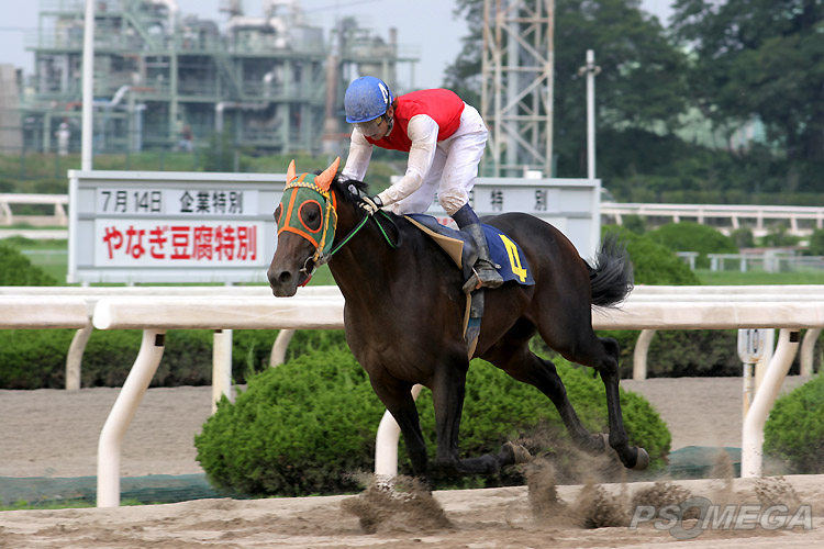 ���q�R�����