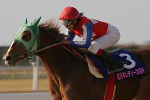 1戦目、1着の岩下千明騎手