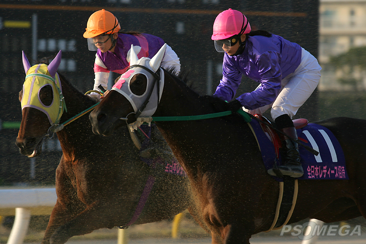  �{���R��Ɩq���R��