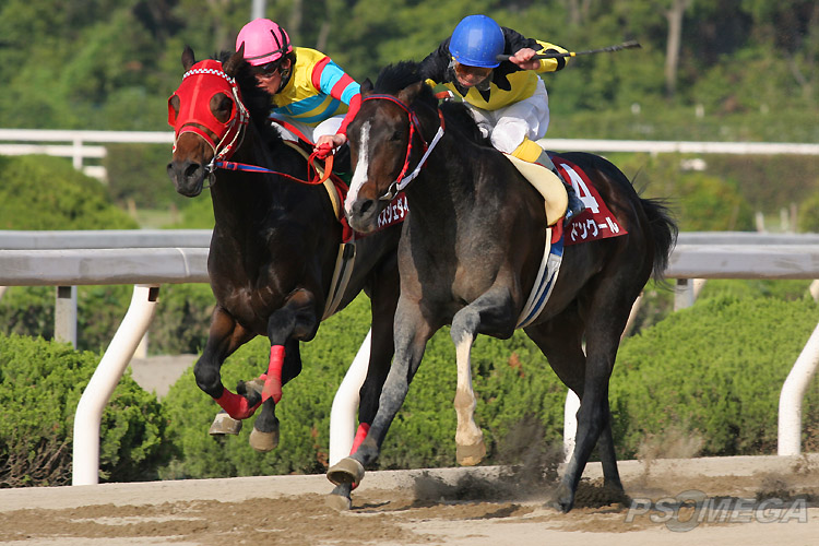 �h���N�[���ƃA�O�l�X�W�F�_�C