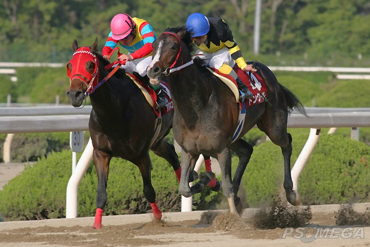 2���̒@������