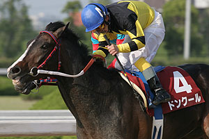 �h���N�[��