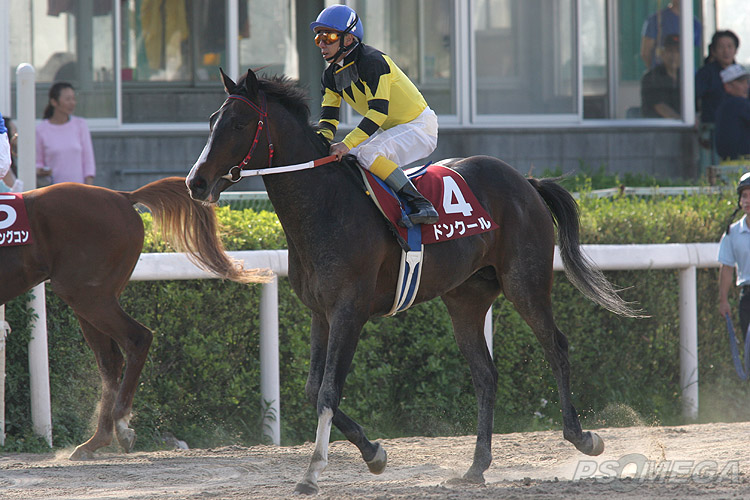 ���[�X������グ�Ă���h���N�[��