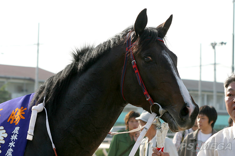 �L�O�B�e�Ɍ������h���N�[���i1�j