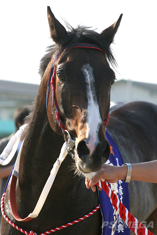 �L�O�B�e�Ɍ������h���N�[���i2�j