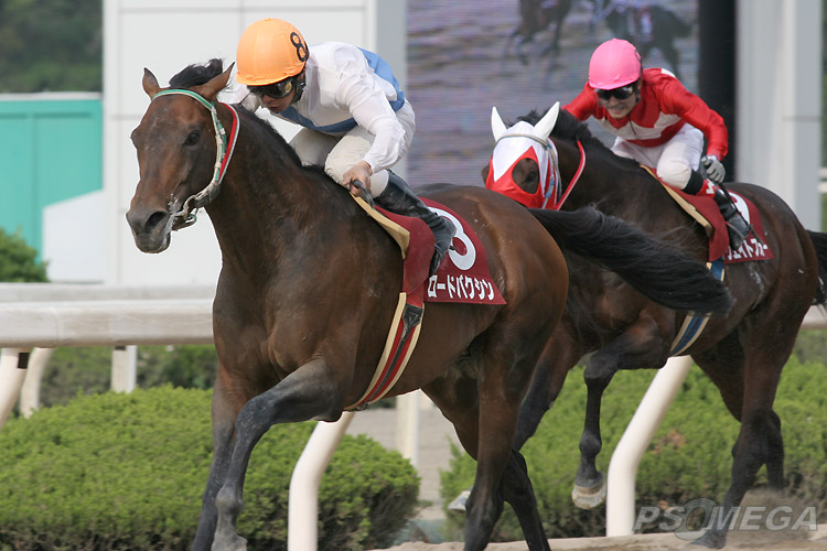 �����o�����[�h�o�N�V��