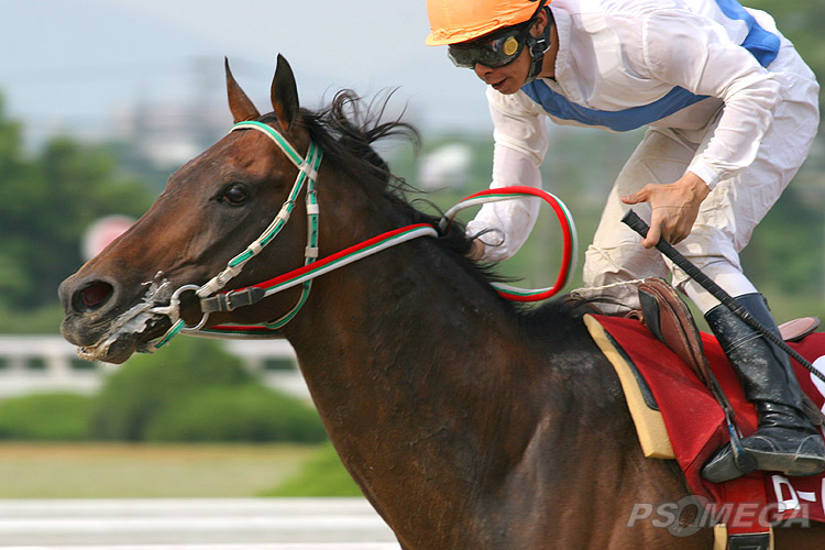 ���[�h�o�N�V���Ɗ�c�R��