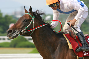 ���[�h�o�N�V��