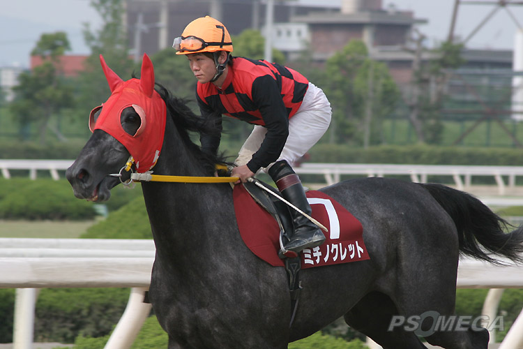 �~�`�m�N���b�g�i�Ԃ��n�j