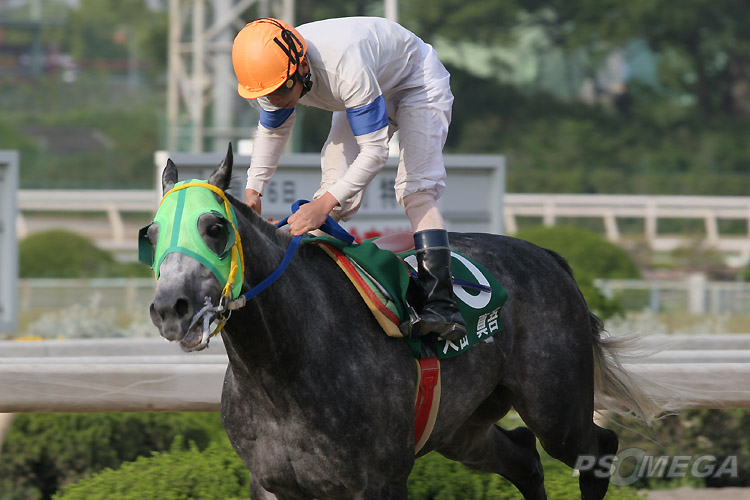 11R�X�^�[�W���b�L�[�J�b�v