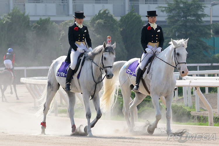 �O���[�g�X�e�[�W