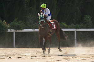 �O���[�g�X�e�[�W