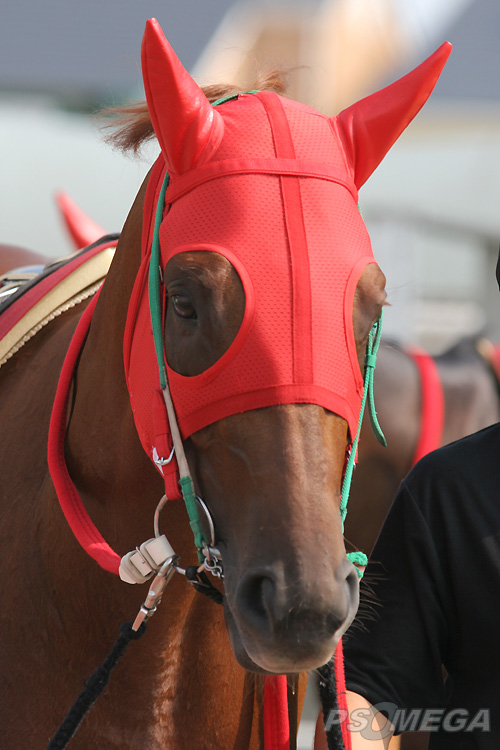 �n�[�g�����h���o���i�p�h�b�N�j