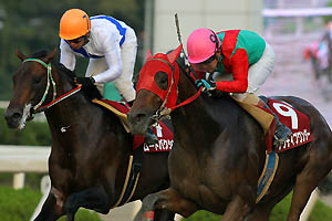 �A�N�e�B�u�����_�[