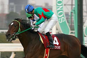 �E�C���h�t�@���^�W