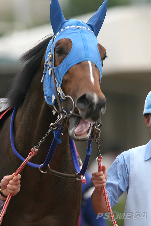 �P���G���y���[