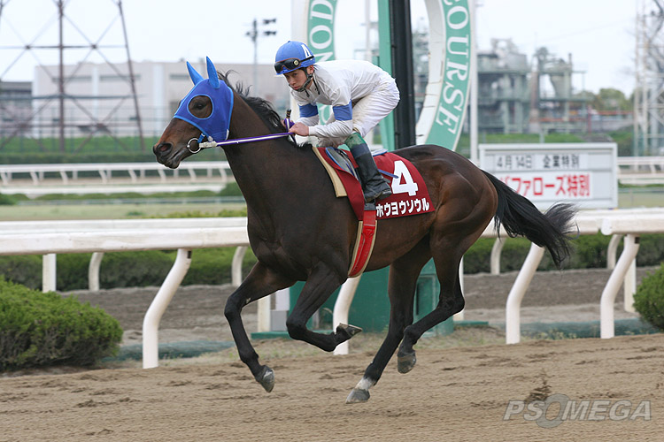 �z�E���E�\�E��