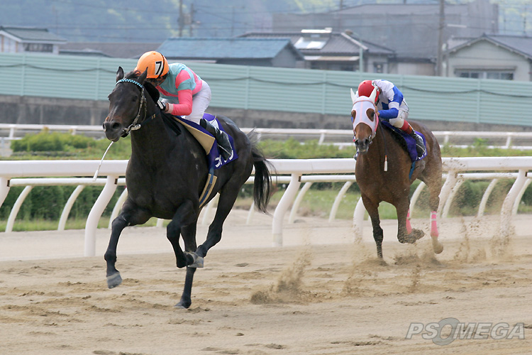 �˂������X�C�O��