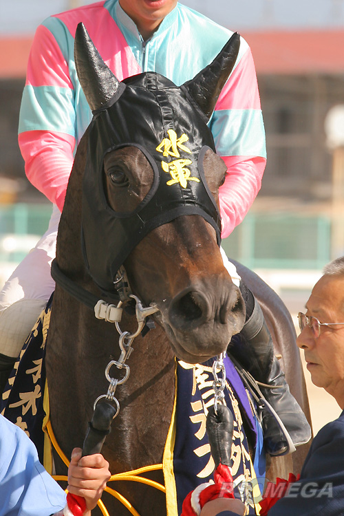 ���́u���R�v�̎h�J���P��