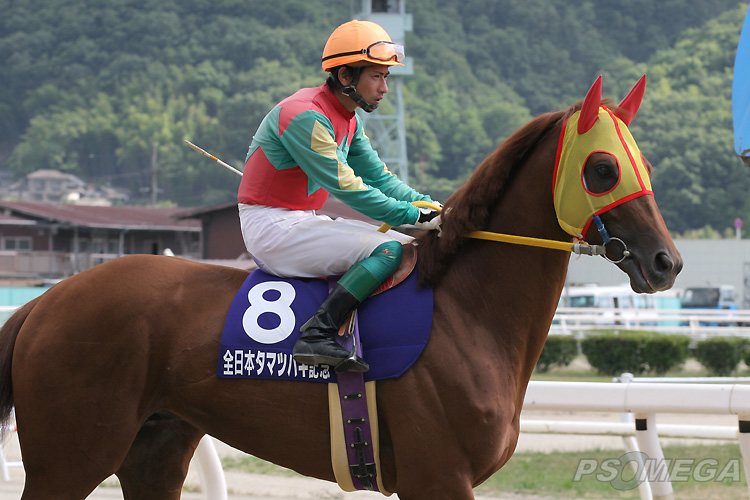 ���C���E�I���C�I��