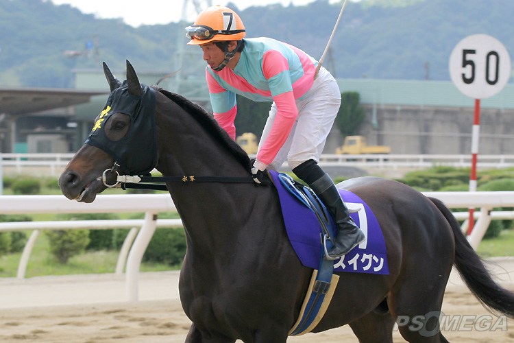 �X�C�O���i�Ԃ��n�j