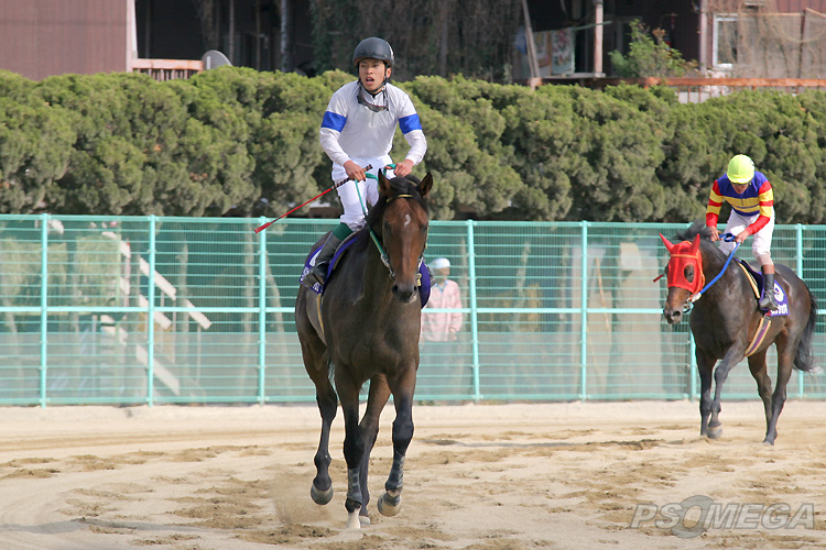 �Q���L�K�C�`�o��