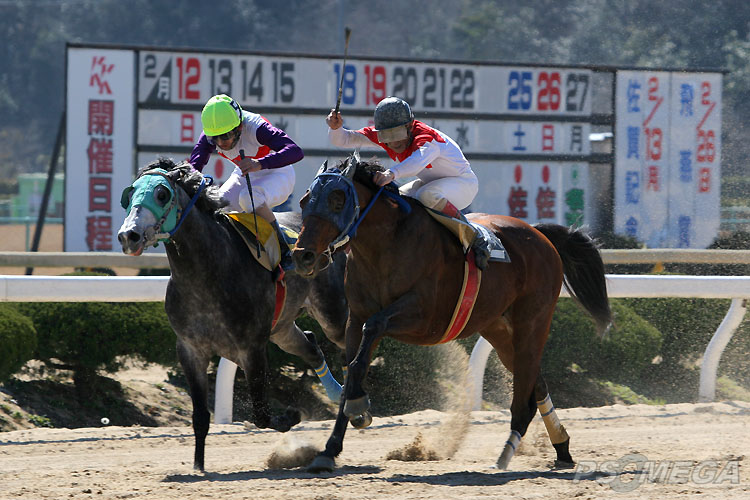 �L������ƎR���M