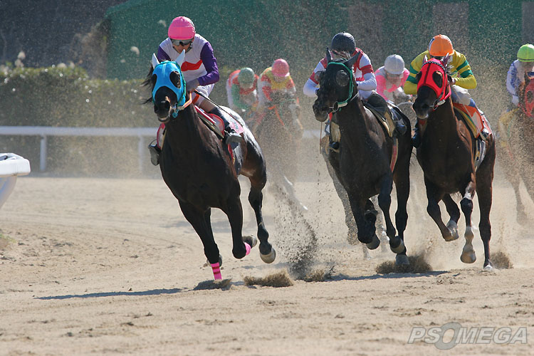 �O�����e�n