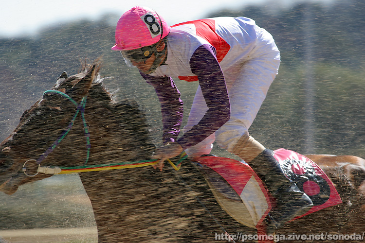 �L������