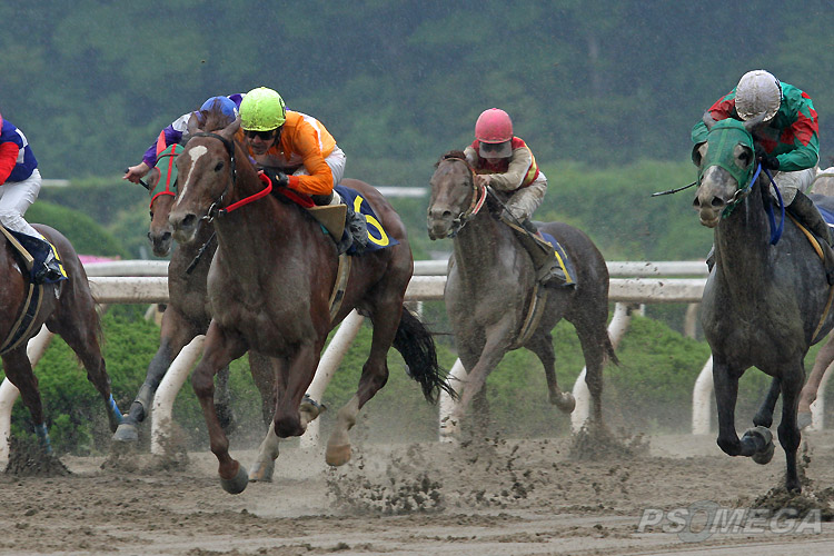 �}�C�l���T�C�v���X