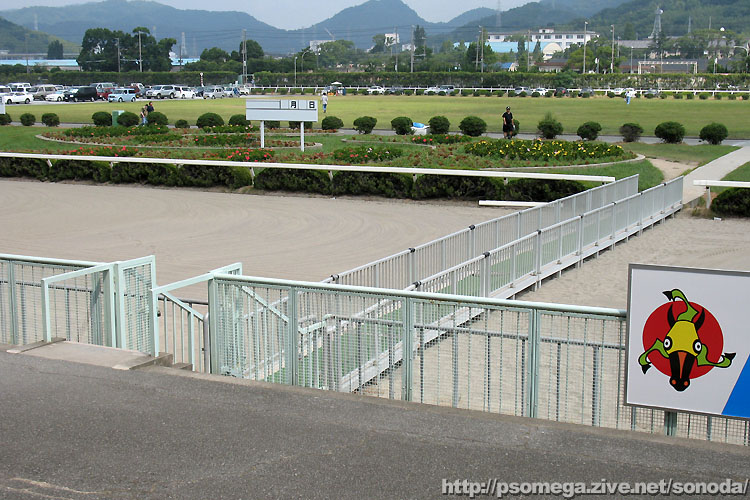 JRA�J�Î��̕P�H���n�ꕗ�i