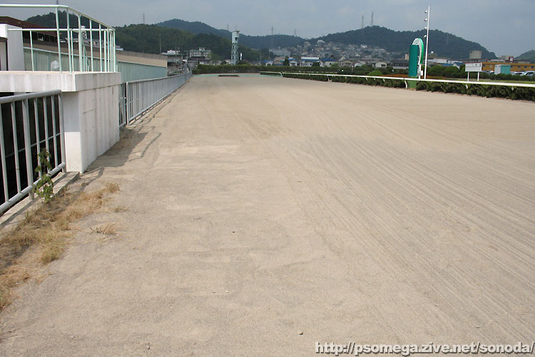 JRA�J�Î��̕P�H���n�ꕗ�i