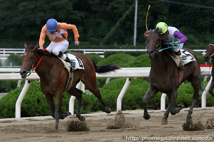 �p�f�B�t�B�[���h