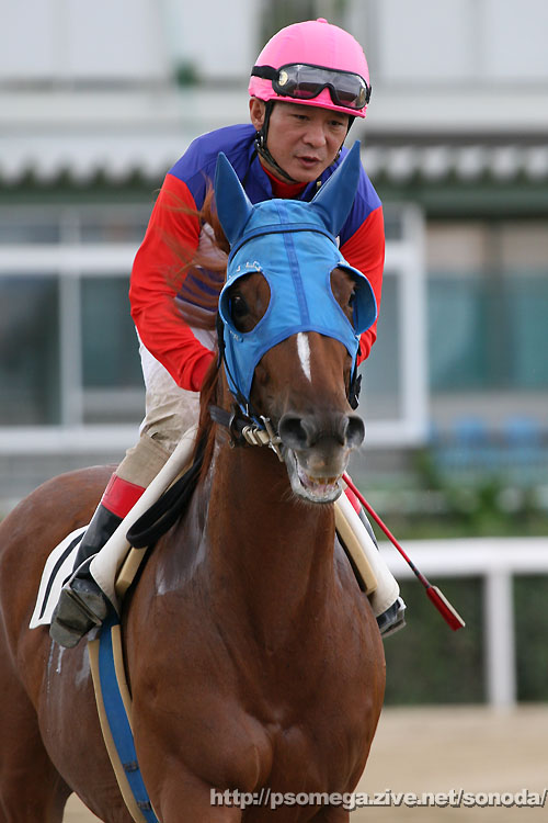 ���T�L�l���V�X