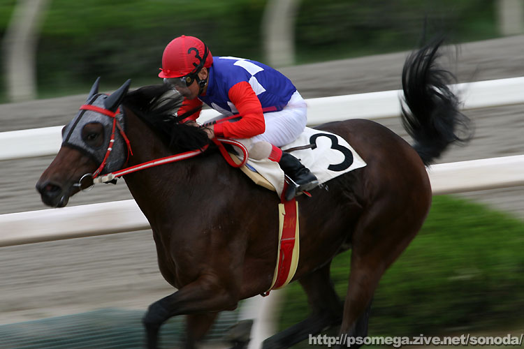 �u���Ȃ��쌴