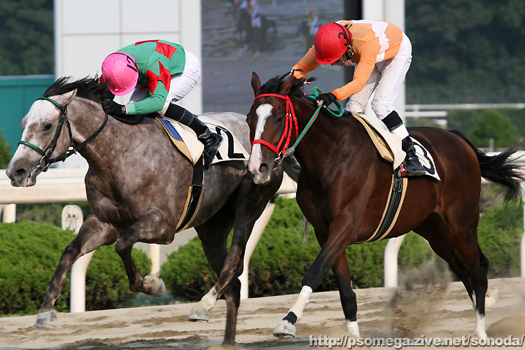 �c���w�R��Ɩؑ����R��