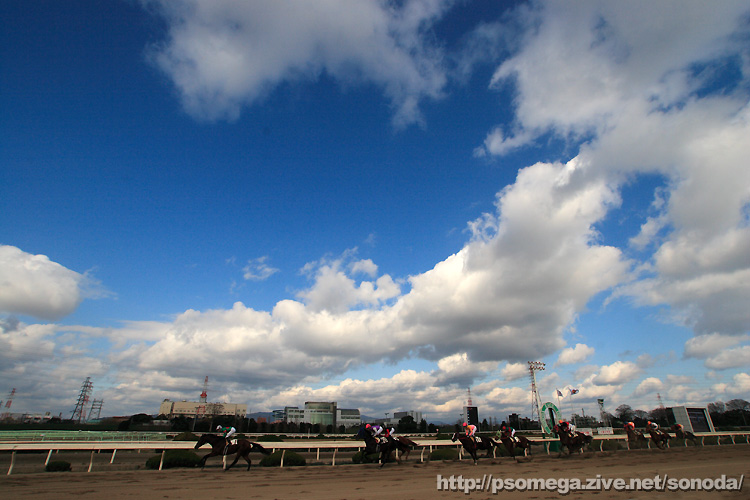 �D�V�̉��c