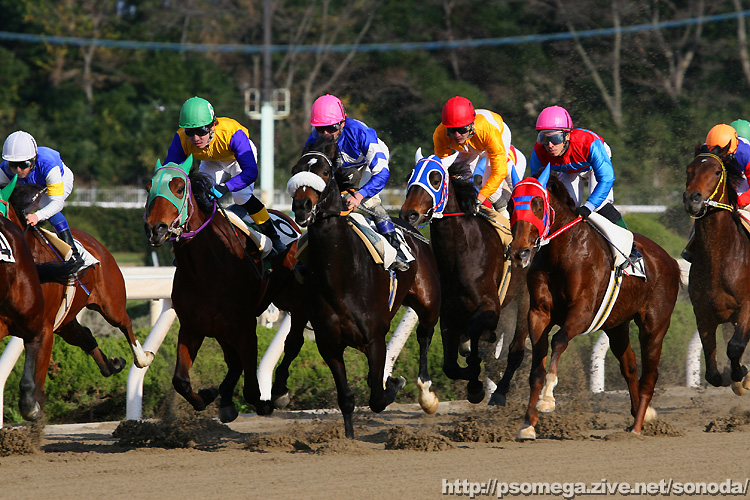 �J���t��