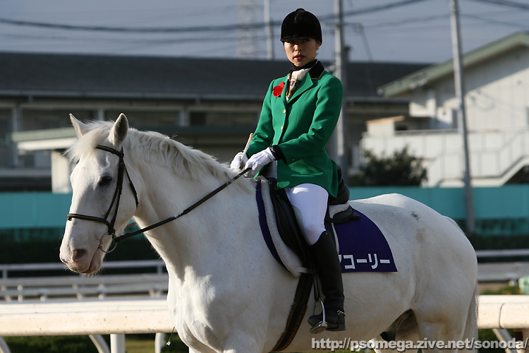 �}�R�[���[