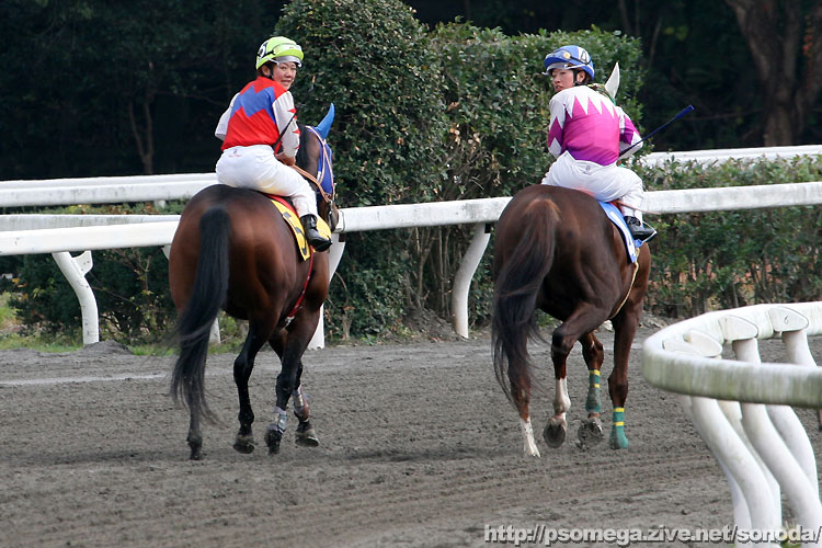 �ʕ{�^�ߋR��ƐX������R��