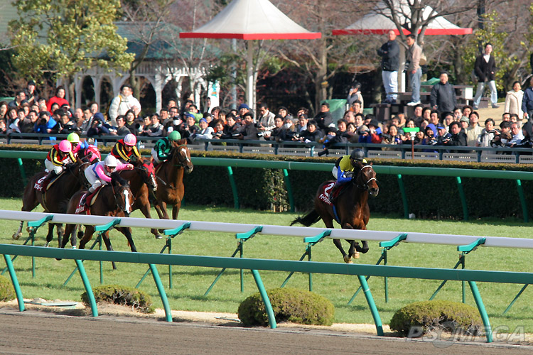 �f�B�[�v�C���p�N�g