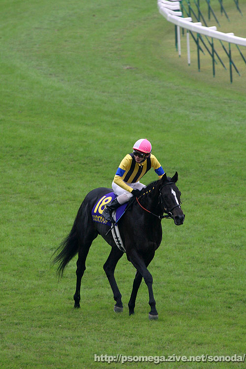 �\���O�I�u�E�C���h